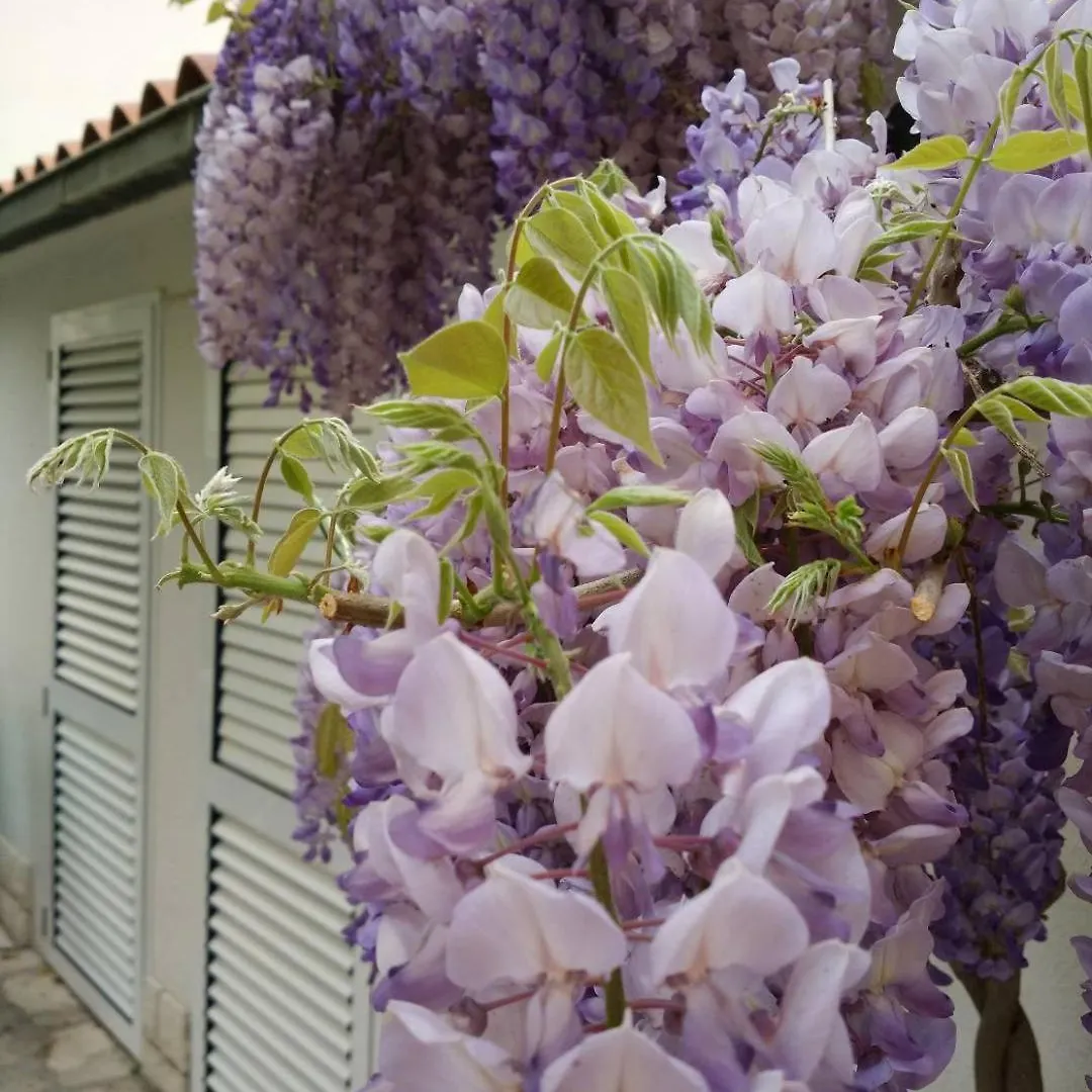 Apartments Gina Τρογκίρ